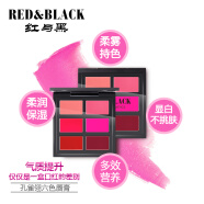 红与黑（RED&BLACK）  六色口红盘化妆师多色口红盘调色专用彩妆哑光多色学生儿童演出 六色口红盘