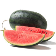 京鲜生 黑美人西瓜 1粒装 单果2.5kg以上 生鲜水果