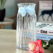 爱泽宝 美式田园风玻璃花瓶  客厅卧室电视柜餐桌装饰品摆件 仿真花花瓶折纸3D花瓶 透明花瓶（配丝带）
