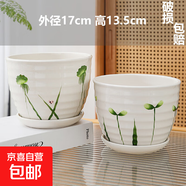 花盆陶瓷大号带陶瓷托盘简约绿萝蝴蝶兰大号绿植多肉家用阳台客厅 2个大号青青小花+2个陶瓷托盘 无规格