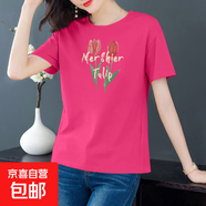 纯棉短袖t恤女装夏季宽松显瘦圆领半袖打底体恤衫学生百搭上衣604 玫红郁金香 3XL 【建议135-145斤】