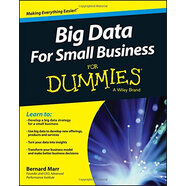 小企业大数据达人迷 Big Data For Small Business For Dummies 英文原版 Bernard Marr Wiley