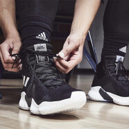 阿迪达斯（adidas）男子Pro Bounce 缓震运动休闲鞋实战篮球鞋FW5744 AH2658/FW5746 39