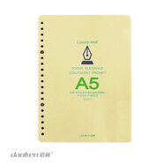 道林活页纸记事本活页替芯孔活页笔记本子内页芯 学生手账活页芯 A5-20孔-空白