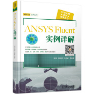 ANSYS Fluent 实例详解