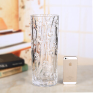 BingYi大号富贵竹大方口花器透明水晶品质玻璃花瓶 1230双心款