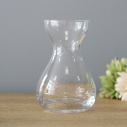 爱泽宝 简约时尚中小号透明玻璃花瓶创意摆件玫瑰雏菊插花单支养花 风信子瓶14高