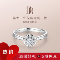 DR Darry Ring礼物求婚钻戒戒指珠宝正品专柜群镶佩戴女 WEDDINGD幸福捧花 9分 I-J色SI1