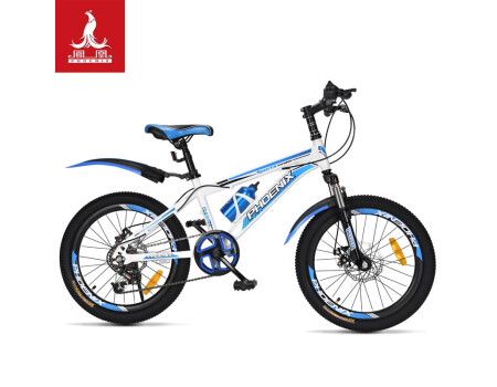 凤凰（Phoenix）儿童自行车山地车男女学生脚踏车6-15岁童车 霸道 白蓝色 22寸