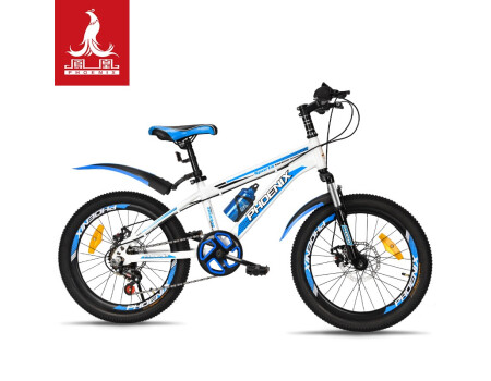 凤凰（Phoenix）儿童自行车山地车男女学生脚踏车6-12岁童车 霸道 白蓝色 18寸