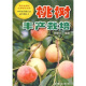 桃树丰产栽培