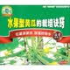 水果型黄瓜的栽培诀窍（VCD）