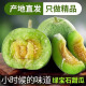 城南堡花 绿宝甜瓜 绿宝石香瓜 新鲜时令水果 3斤(6-9个)