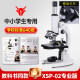 铁牛（Tieniu）光学专业显微镜XSP-02-640倍细菌细胞观察小学初中生中考教学同款 XSP-02显微镜专业版+卡尺