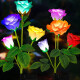 燧木太阳庭院4头玫瑰花灯户外防水LED草坪别墅花园景观装饰地插灯彩色 单只装-红色玫瑰
