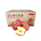京鲜生 甘肃静宁红富士苹果5.8kg大果24粒 单果80mm起 水果