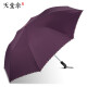 天堂伞雨伞两折折叠伞自动伞大号二折晴雨两用伞男女商务雨伞加大雨伞 紫色
