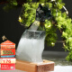 大英博物馆风暴瓶安德森猫天气瓶创意桌面摆件生日礼物新婚礼物元宵节礼物 安德森猫埃及风暴瓶摆件