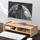 金隆兴电脑显示器增高架支架办公室桌面屏幕置物架托键盘收纳架储物架子