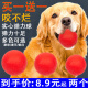 狗狗玩具球金毛拉布拉多泰迪比熊玩具大中小型犬磨牙耐咬实心球训犬用品 实心弹力球 (小号4CM) 实发2个