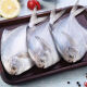  银鲳鱼 500g 约5条 鲜冻生鲜 海鲜水产 烧烤食材 健康轻食