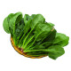 新鲜菠菜矮杆红根大叶时令蔬菜火锅绿色霜冻青菜5斤 3斤