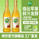 绿杰苹果醋饮料大瓶650ml*2 发酵型绿色苹果醋果汁饮料 650ml*2瓶
