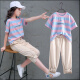 甜晓晓适合3-16岁小孩子穿的女童夏季运动套装中大童女装儿童洋气卫衣潮 蓝间粉色 150cm