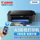佳能（Canon） 彩色A3照片喷墨打印机iP8780光盘打印A4相片手机无线wifi大型商用铜版纸6色墨水无边距文档办公 iP8780【6色墨盒/无线WiFi/光盘打印】 官方标配