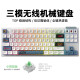 Darmoshark 达摩鲨 K6 三模无线机械键盘TOP结构87键 键盘RGB音乐律动全键可插拔轴 K6白色-佳达隆 小袋鼠轴