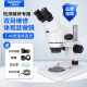 三锵泰达双目三目体视显微镜专业高清放大维修PCB焊接芯片拍照体式放大镜 双目显微镜（标准板）