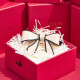 Alexandre De Paris新年礼物蝴蝶结半弧形发夹经典款发饰发卡 X柔和色礼盒装