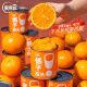 家家红 水果罐头橘子罐头新鲜片片桔糖水罐头312gx12罐 橘子罐头12罐