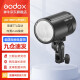神牛（Godox） AD100pro外拍灯闪光灯大功率通用摄影灯锂电池高速TTL便携式口袋灯户外人像 AD100pro 官方标配
