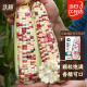 北蔬 彩甜糯玉米种子花糯春播彩色种籽 彩甜糯6号玉米种子150g
