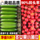 土地母亲计划 圣女果水果黄瓜小柿子千禧小西红柿茄瓜果小黄瓜小青瓜代餐轻食 圣女果+小黄瓜 5斤 【各2.5斤】