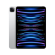 【备件库99新】Apple【教育优惠】iPad Pro 11英寸 2022款(128G WLAN版/M2芯片Liquid视网膜屏MNXE3CH/A) 银色