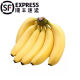 【香蕉5斤装】福建香蕉5斤装 非美人蕉红蕉正宗现割新鲜香蕉当季水果 banana