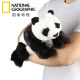 National Geographic儿童节礼物 国家地理动物熊猫手偶亲子互动儿童毛绒玩具男女孩