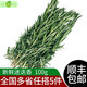 绿食者新鲜迷迭香100g 烧烤烘焙调料西餐煎牛排食用配料香料蔬菜 250g