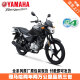 YAMAHA雅马哈摩托车天剑YBR150Z动力版街车全新整车JYM150-8跑车YAMAHA 天剑YBR150Z/梦幻黑/前碟后鼓刹