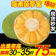 鲜贡园大果海南黄肉菠萝蜜30-35斤一整个新鲜当季热带木波罗蜜生鲜水果