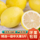 四川安岳黄柠檬新鲜水果 精选一级果 柠檬直发 5斤中大果（单果80-149g）