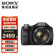 SONY 索尼  DSC-H300 长焦数码相机黑色 家用旅游照相机2010万像素 35倍光学变焦 套餐一