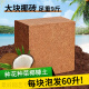 米囹9斤大块椰砖营养土通用型种菜耶砖壳养花土盆栽椰糠土壤椰砖 大椰砖1块