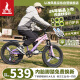 凤凰（Phoenix）儿童自行车山地学生碟刹越野城市变速单车银河 20寸7速一体轮粉紫