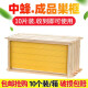 蜂之家 中蜂成品巢框带框巢础蜜蜂巢基蜂页蜂列子框架子蜂具养蜂专用工具10个装