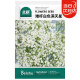 北蔬 满天星种子白色室内四季盆栽花卉种子 矮杆白色满天星种子2000粒