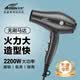 艾信吹风机5108pro发廊发型师专用大功率大风力低噪音家用负离子护发不伤发理发店专业高速电吹风筒 金属灰【超轻+大风力+无刷电机+负离子】