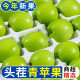 山西青苹果 新鲜小苹果酸爽孕妇低糖酸水果 精选装 净重8.5斤起约30-36个